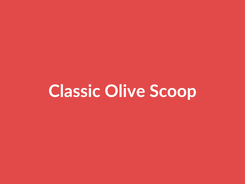 Classic Olive Scoop Neck Basic Shirt - placehold image