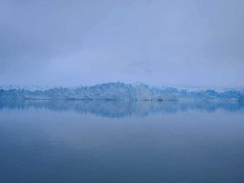 Essential Olive Comfort Item