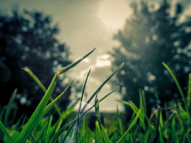 Vintage Blue Basic Item